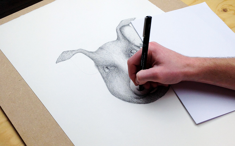 Creating the Unruly Pig illustration